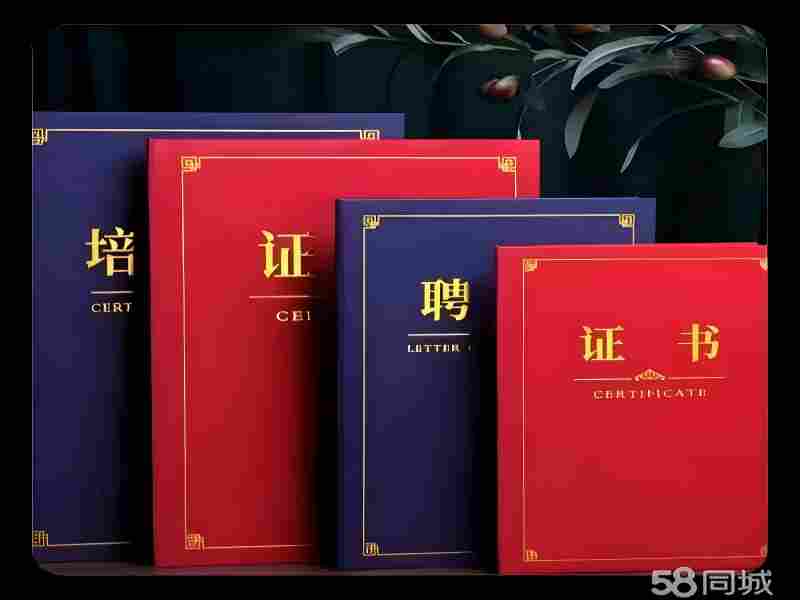 24小时证件制作收费:你需要了解的价格标准与注意事项